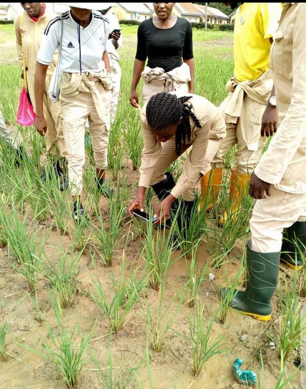farming