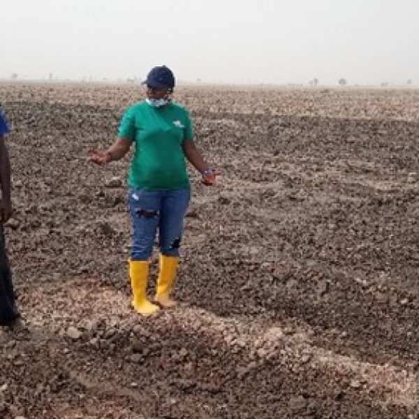 Land sourcing/evaluation Land sourcing/evaluation