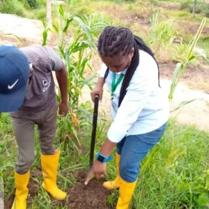 czM6Ly9tZWRpYS1wcml2YXRlLmNhbnZhLmNvbS9pOGQxcy9NQUYtOGlpOGQxcy8xL3AucG5n